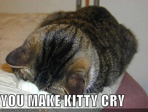 YOU MAKE KITTY CRY