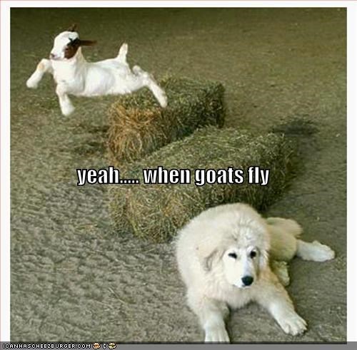 yeah..... when goats fly