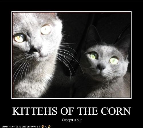 KITTEHS OF THE CORN
