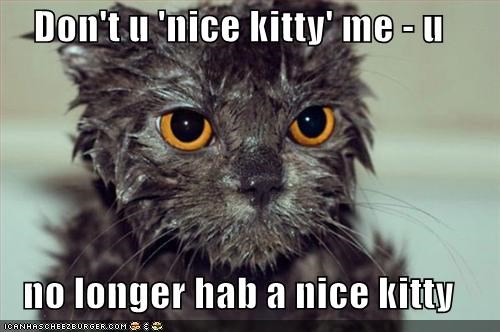 Don't u 'nice kitty' me - u  no longer hab a nice kitty