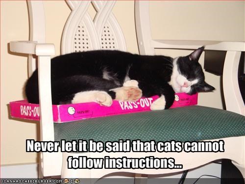 Never let it be said that cats cannot follow instructions...