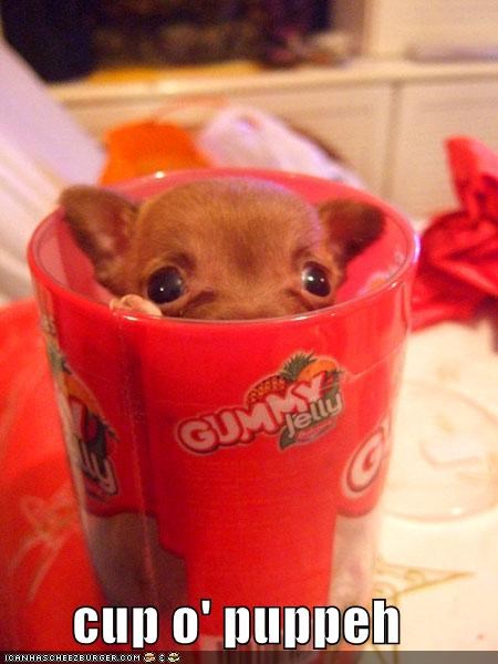 cup o' puppeh