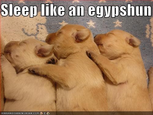 Sleep like an egypshun