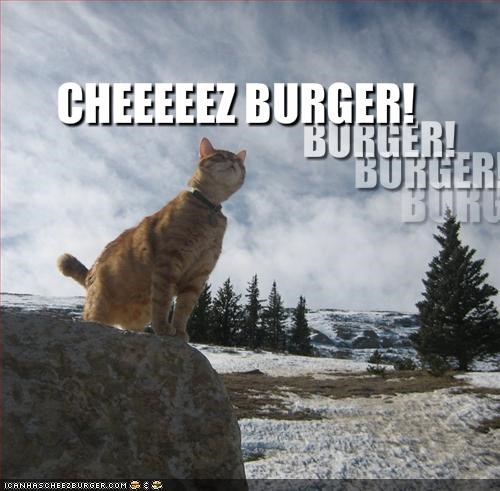 BURGER!