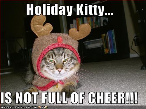 Holiday Kitty...  IS NOT FULL OF CHEER!!!