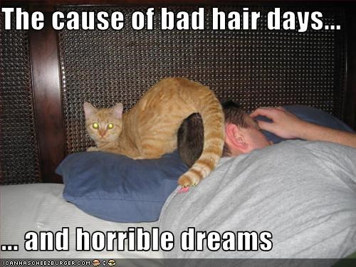 The cause of bad hair days...  ... and horrible dreams