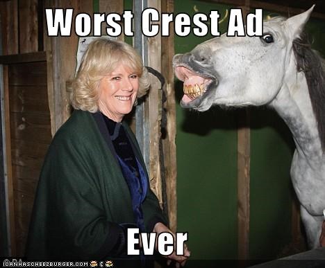 Worst Crest Ad  Ever