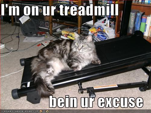 I'm on ur treadmill  bein ur excuse