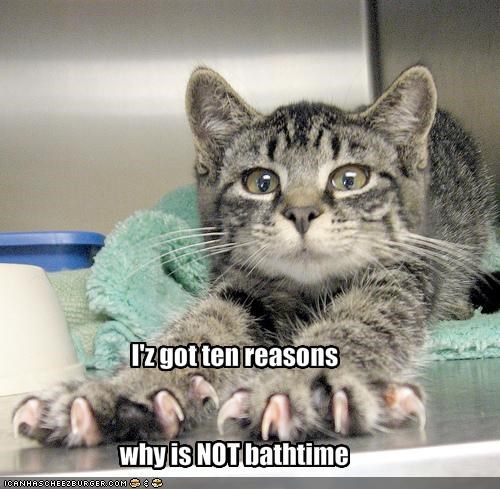 I'z got ten reasons
