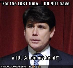 "For the LAST time...I DO NOT have  a LOL Cat on my head!"
