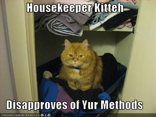 Housekeeper Kitteh  Disapproves of Yur Methods