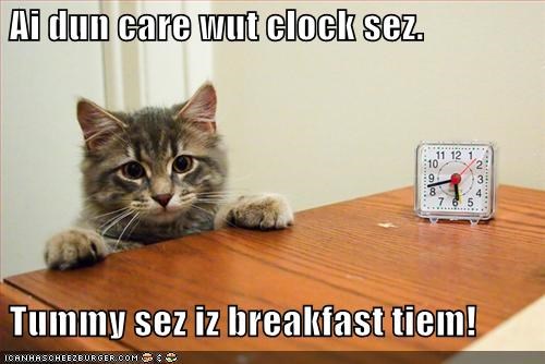 Ai dun care wut clock sez.   Tummy sez iz breakfast tiem!