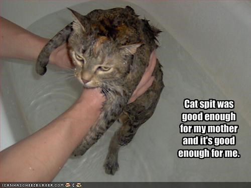 Cat spit was good enough for my mother and it's good enough for me.