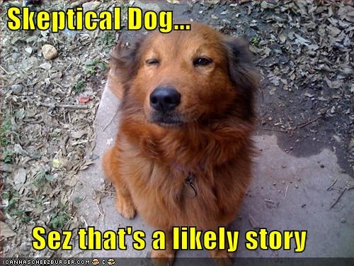 Skeptical Dog...  Sez that's a likely story