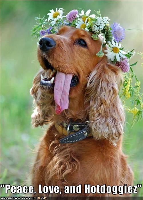 "Peace, Love, and Hotdoggiez"