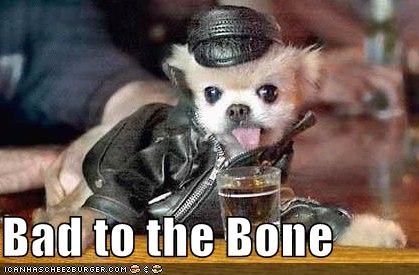 Bad to the Bone