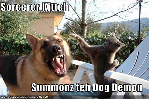 Sorcerer Kitteh  Summonz teh Dog Demon