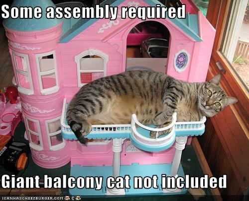 Some assembly required  Giant balcony cat not included