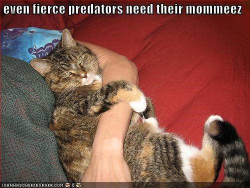 even fierce predators need their mommeez