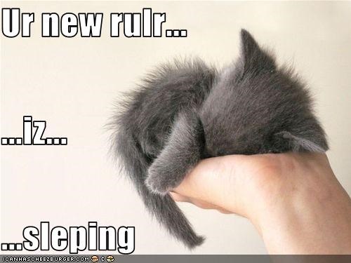 Ur new rulr... ...iz... ...sleping