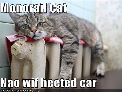 Monorail Cat  Nao wif heeted car