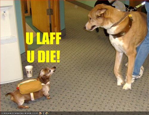 U LAFFU DIE!