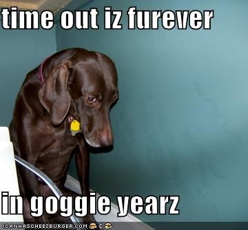 time out iz furever   in goggie yearz
