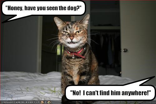 "Honey, have you seen the dog?"