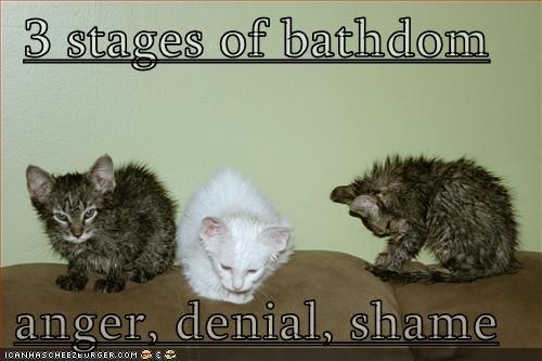 3 stages of bathdom  anger, denial, shame