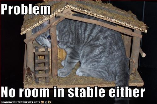 Problem  No room in stable either