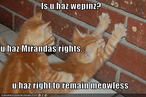 Is u haz wepinz? u haz Mirandas rights. u haz right to remain meowless