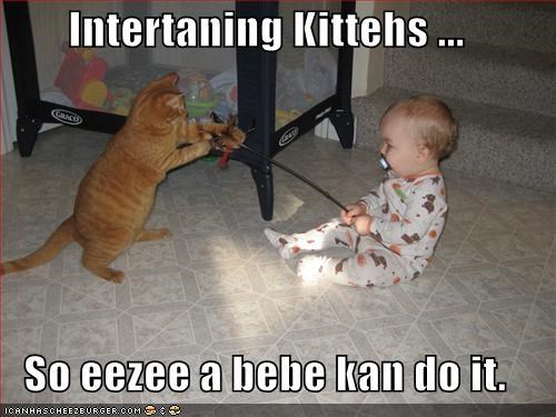 Intertaning Kittehs ...  So eezee a bebe kan do it.