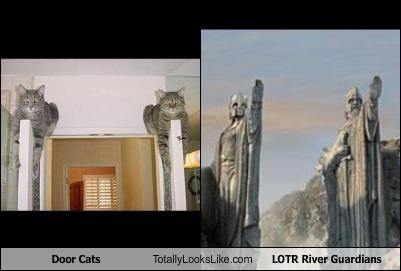 Door Cats Totally Looks Like LOTR River Guardians