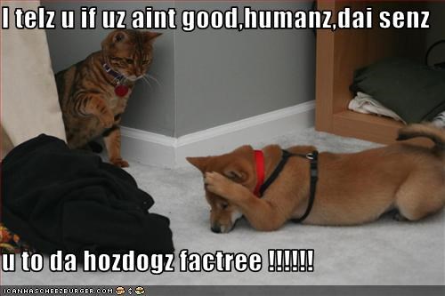 I telz u if uz aint good,humanz,dai senz  u to da hozdogz factree !!!!!!