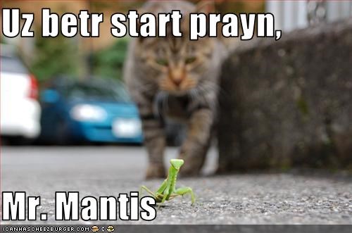 Uz betr start prayn,  Mr. Mantis
