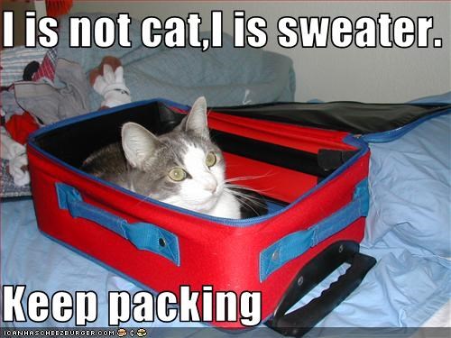 I is not cat,I is sweater.  Keep packing