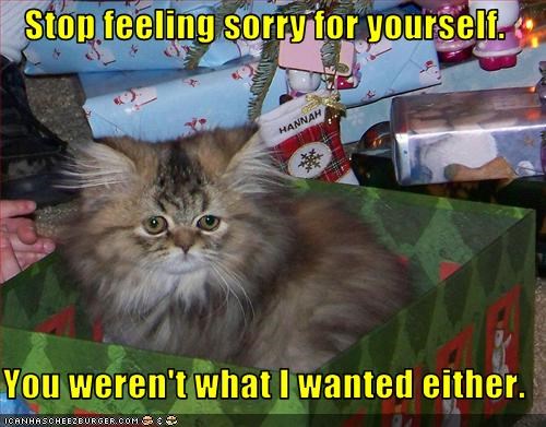 Stop feeling sorry for yourself.   You weren't what I wanted either.