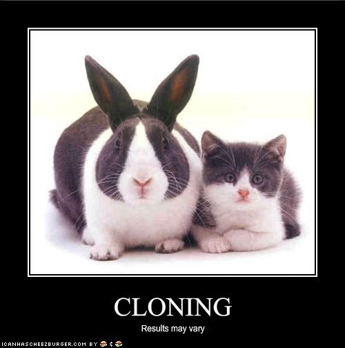 CLONING