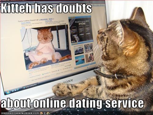 Kitteh has doubts  about online dating service