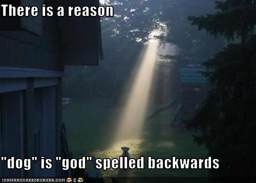 There is a reason  "dog" is "god" spelled backwards