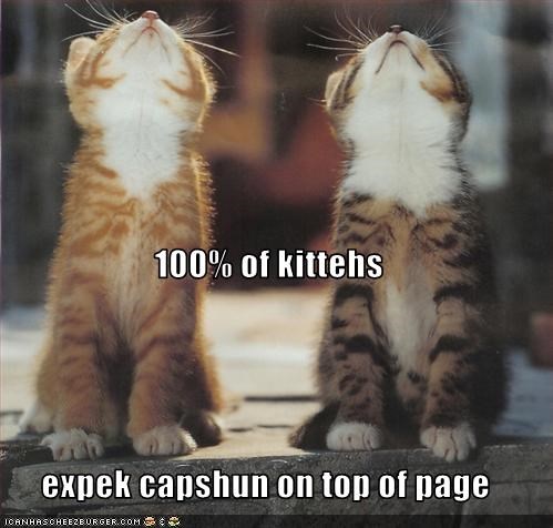 100% of kittehs expek capshun on top of page