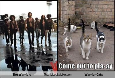 The Warriors Totally Looks Like Warrior Cats