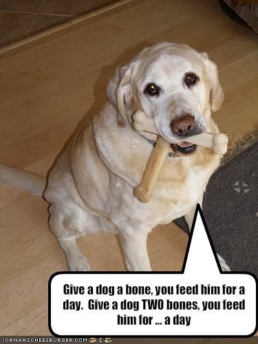 Give a dog a bone, you feed him for a day.  Give a dog TWO bones, you feed him for ... a day