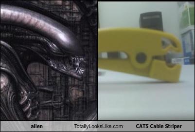 alien Totally Looks Like CAT5 Cable Striper