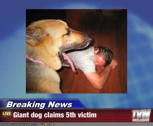 Breaking News - Giant dog claims 5th victim