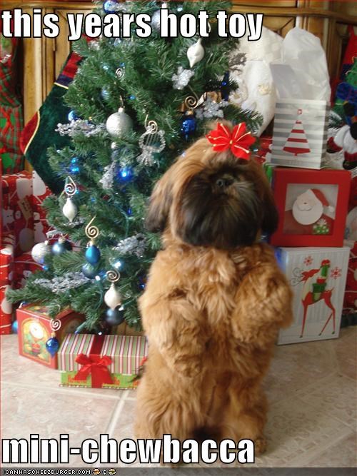 this years hot toy  mini-chewbacca