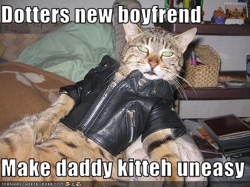 Dotters new boyfrend  Make daddy kitteh uneasy