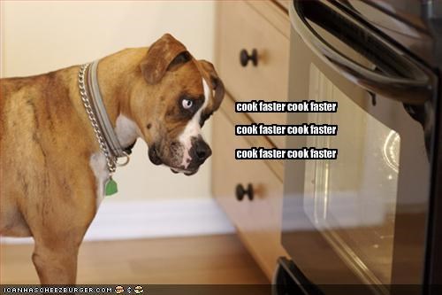 cook faster cook faster