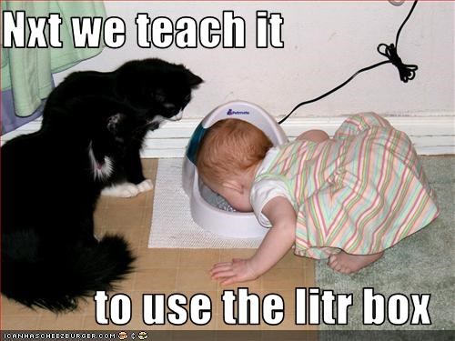 Nxt we teach it   to use the litr box
