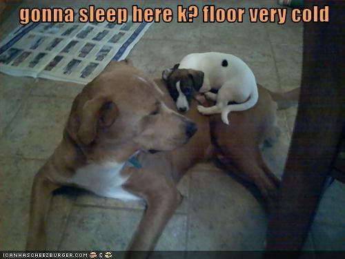 gonna sleep here k? floor very cold